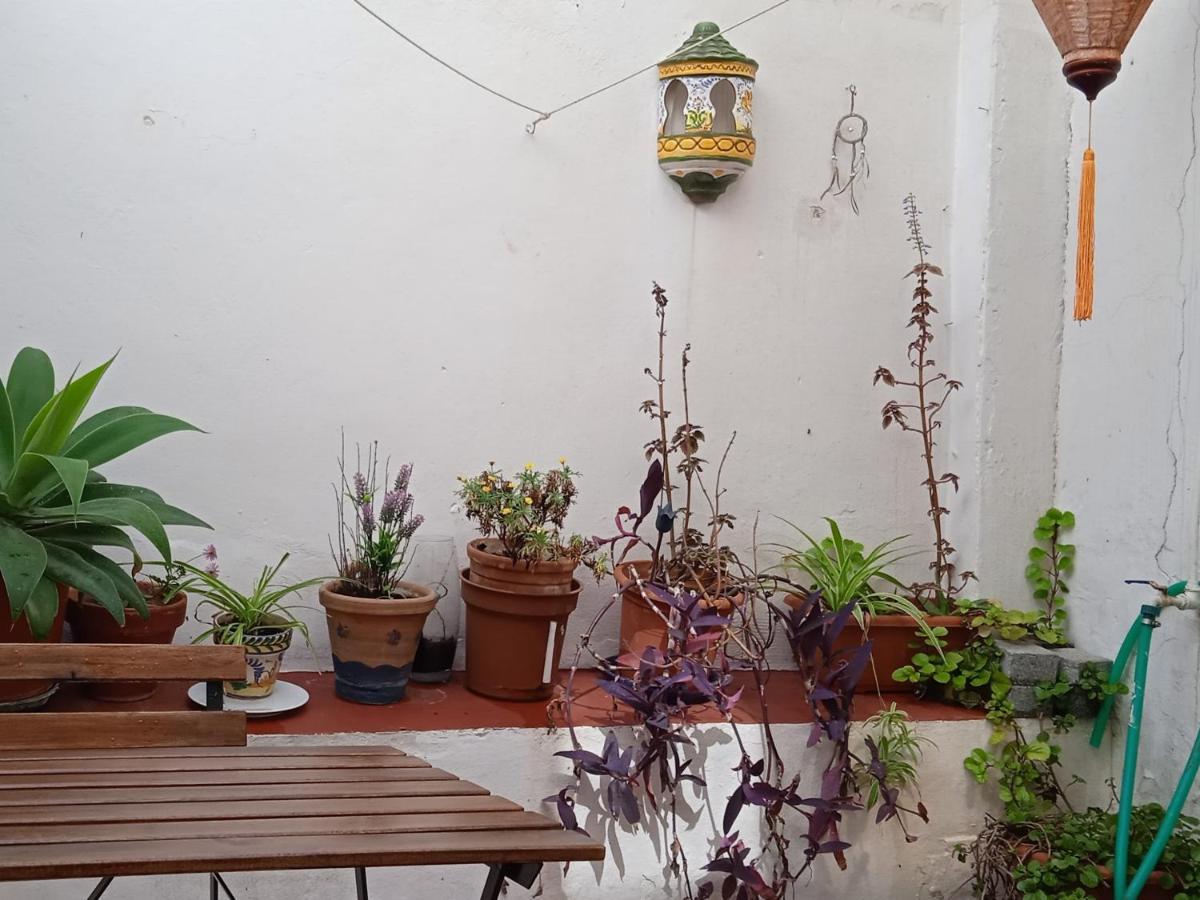 דירות סביליה Selva La Bella. En El Corazon De Triana מראה חיצוני תמונה